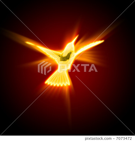 silhouette of a bird against dark background 7073472