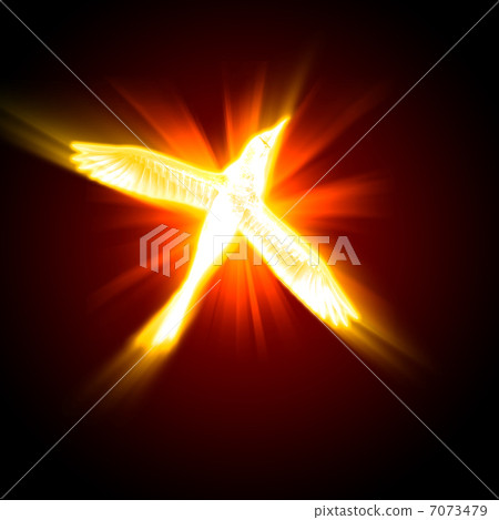 silhouette of a bird against dark background 7073479