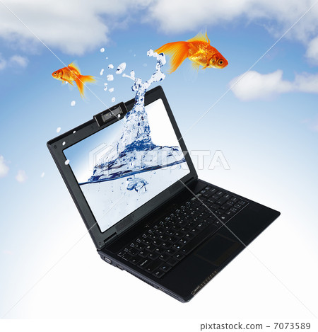 gold fish on notebook screen 7073589
