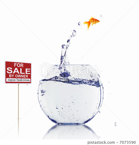 gold fish in a fishbowl gold fish in a fishbowl 7073590