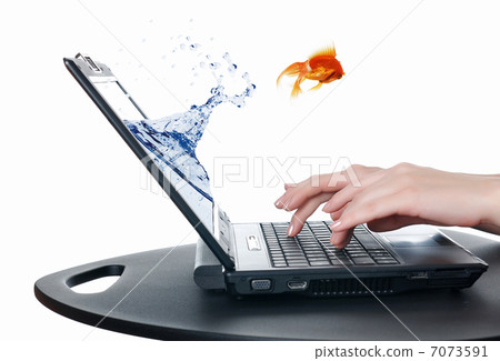 gold fish on notebook screen 7073591