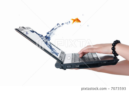 gold fish on notebook screen gold fish on notebook screen 7073593