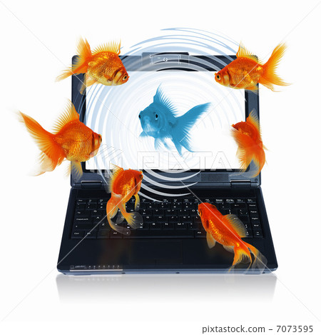 gold fish on notebook screen 7073595