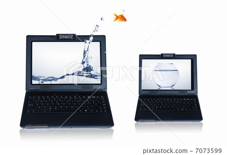 gold fish on notebook screen gold fish on notebook screen 7073599