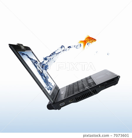 gold fish on notebook screen 7073601