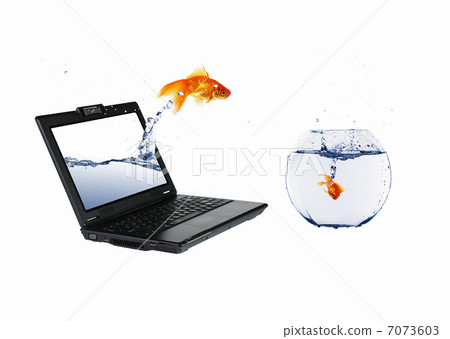 gold fish on notebook screen gold fish on notebook screen 7073603