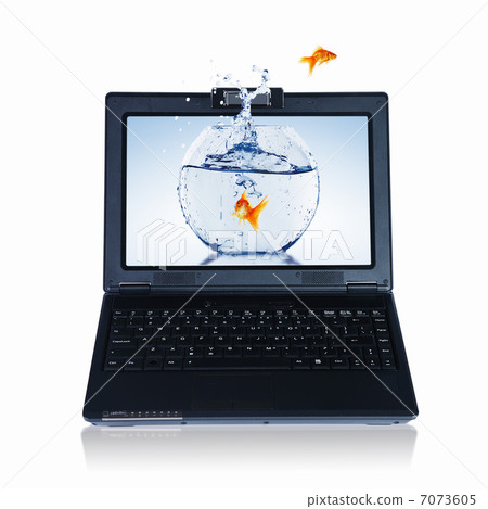 gold fish on notebook screen 7073605