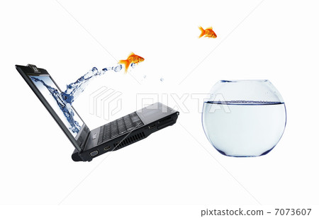 gold fish on notebook screen gold fish on notebook screen 7073607