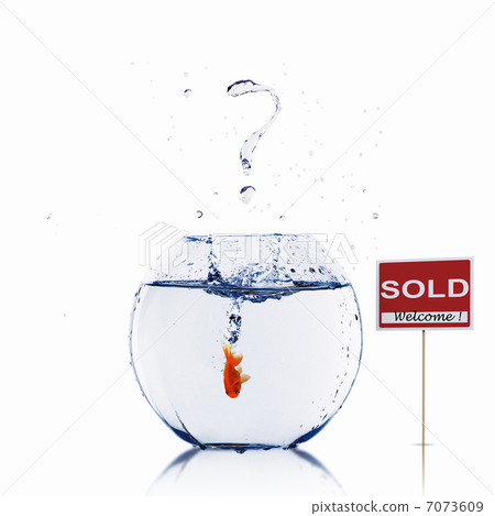 gold fish in a fishbowl gold fish in a fishbowl 7073609