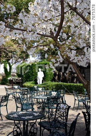 Sakura's Glover Garden 7075378