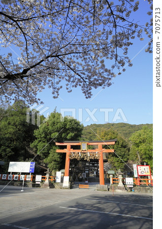 Spring Matsuo Taisha Spring Matsuo Taisha 7075713