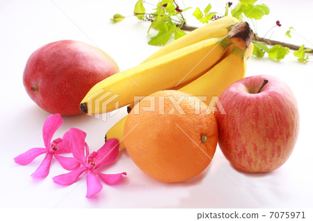 水果 水果 7075971