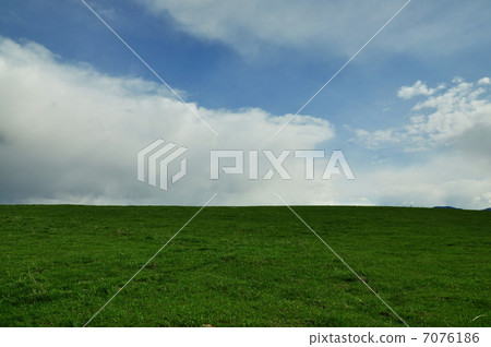 Meadow Meadow 7076186