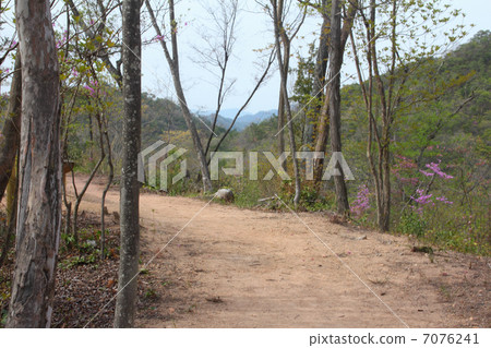 Mountain of spring 7076241