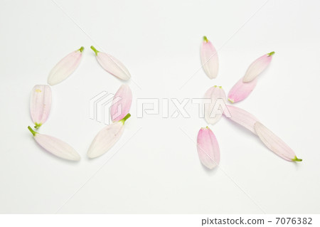 花瓣 花瓣 7076382