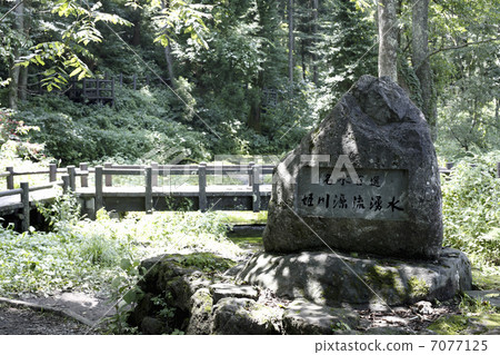 Himekawa Genji spring spring Himekawa Genji spring spring 7077125