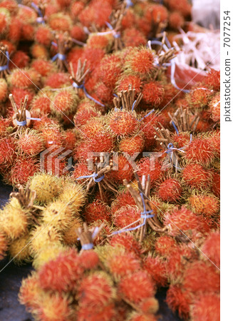 Rambutan 7077254
