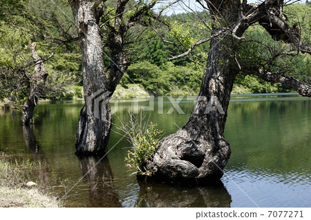 Hokuryū Lake Hokuryū Lake 7077271