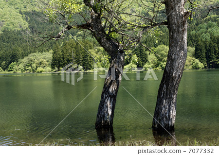 Hokuryū Lake Hokuryū Lake 7077332