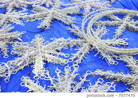 聖誕節裝飾發光二極管 聖誕節裝飾發光二極管 7077470