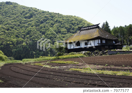 Old houses Old houses 7077577