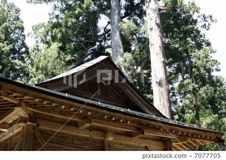 The roof of the shrine The roof of the shrine 7077705