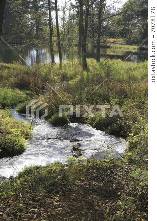 森林溪 7078178
