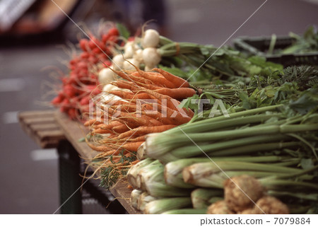 早市蔬菜 7079884