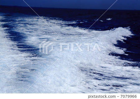 White wave White wave 7079966