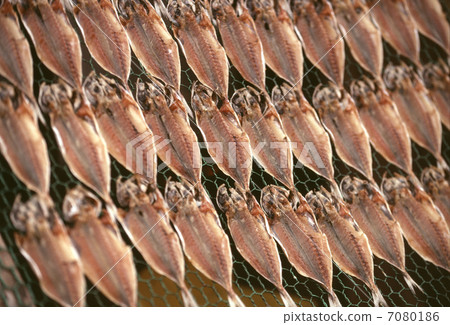 Dried horse mackerel Dried horse mackerel 7080186