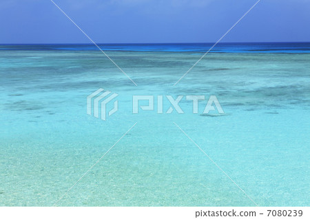 珊瑚海灘 7080239