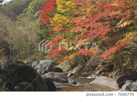 秋葉和山谷 秋葉和山谷 7080770