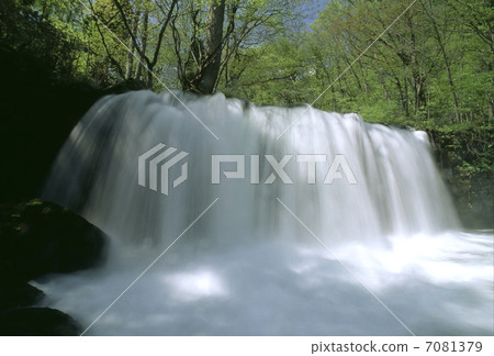 Choshi Otaki 7081379