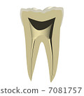Cutting face of tooth 7081757