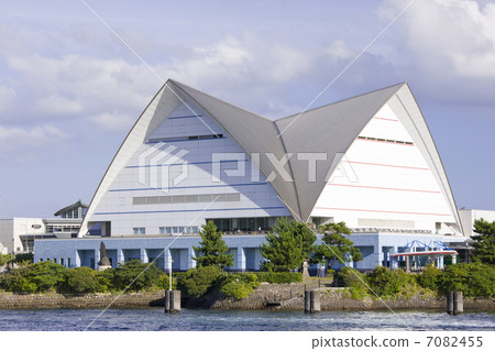 Iow World Kagoshima Aquarium 7082455