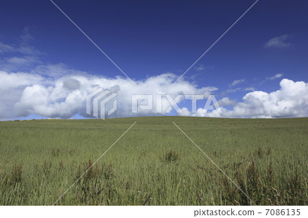 大草原和雲 7086135