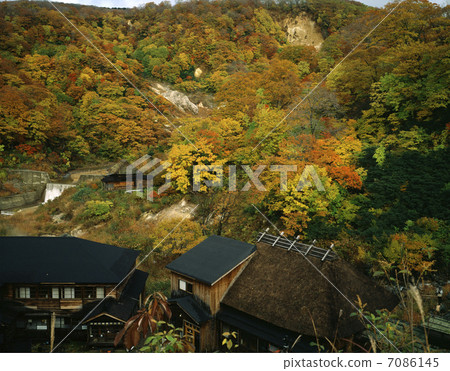 Papilla Hot Spring Town 7086145