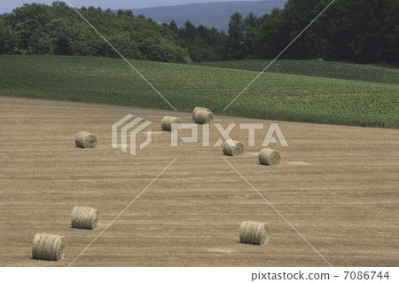 Grass roll Grass roll 7086744