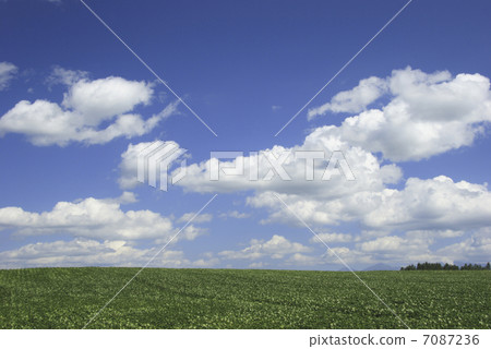 紅豆領域和雲彩 7087236