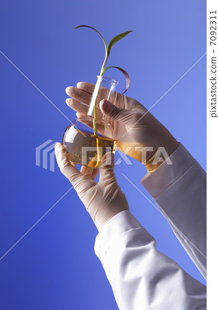 Green plants in biology laborotary Green plants in biology laborotary 7092311