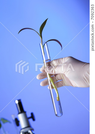 Green plants in biology laborotary 7092363