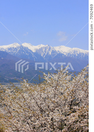 Yamazakura的中央阿爾卑斯山和剩下的雪 7092469