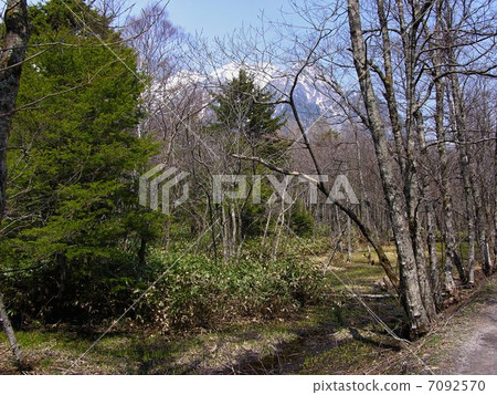 Kamikochi漫步線 7092570