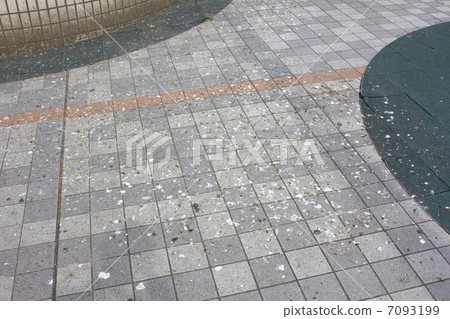 Civic square dirty due to pigeon feces damage 7093199