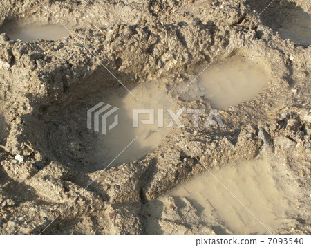 Mud of the rain 7093540