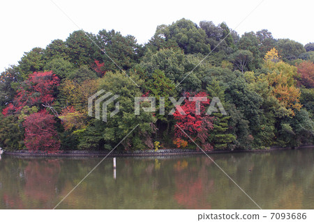 Takemoto Emperor的Kofun 7093686