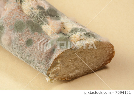 Mold generated in bread Mold generated in bread 7094131