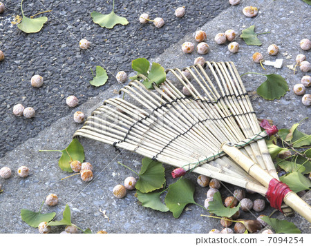 落在人行道上的銀杏果實 落在人行道上的銀杏果實 7094254