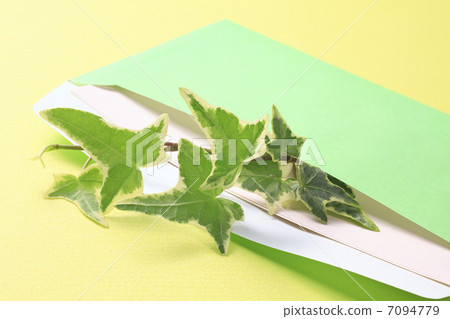 Houseplant in green envelope Houseplant in green envelope 7094779