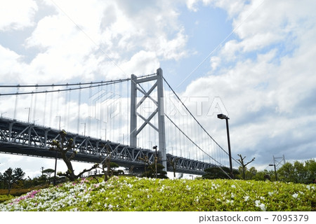 Seto Ohashi bridge Yoshima Azalea and the main tower taken on April 21 7095379